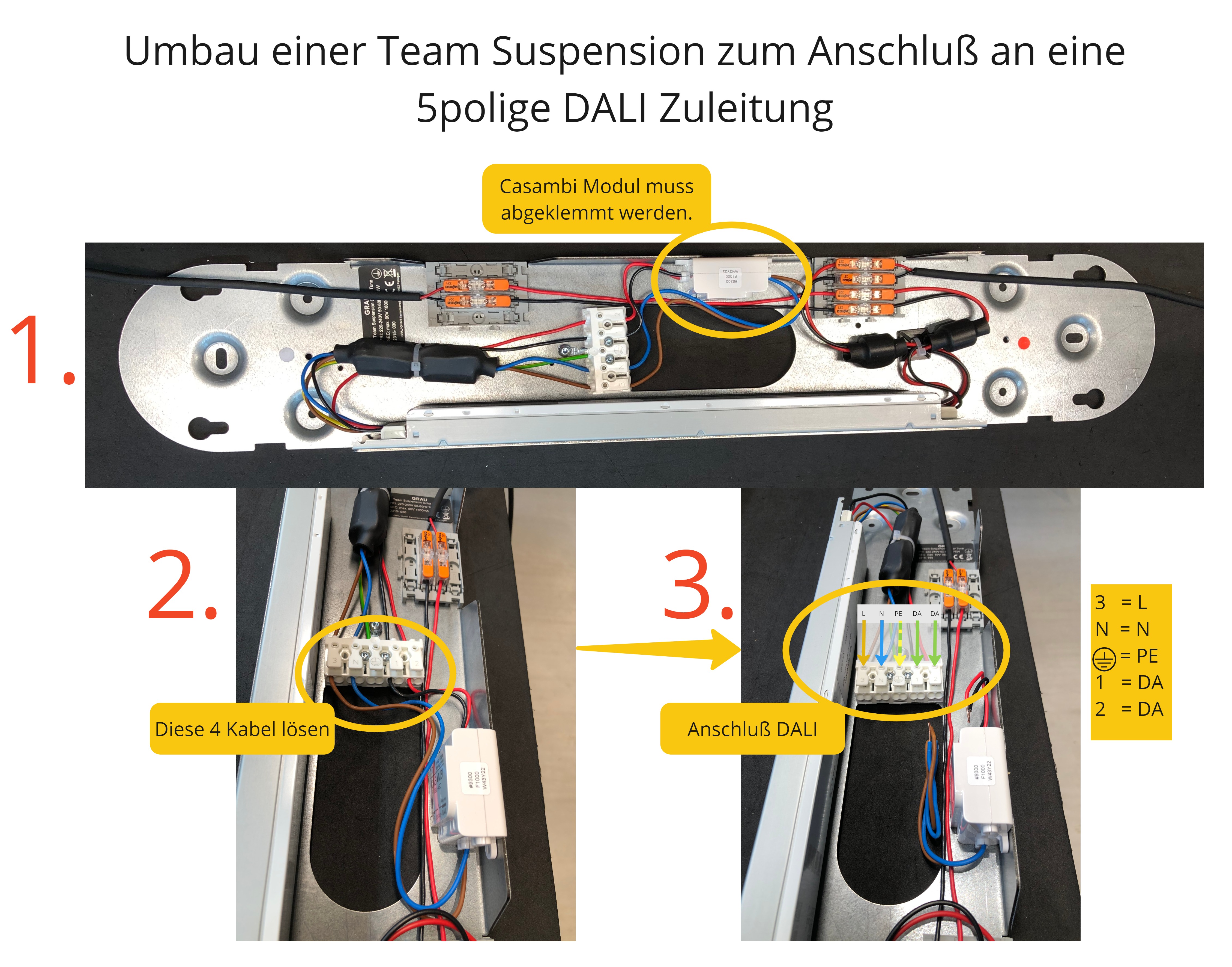 Team_Suspension_Umbau_DALI.jpg